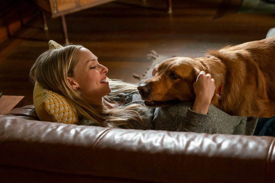 The Art of Racing in the Rain Review: The Ultimate Lap Dog | The Spool