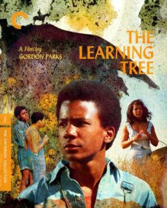 Criterion - The Learning Tree