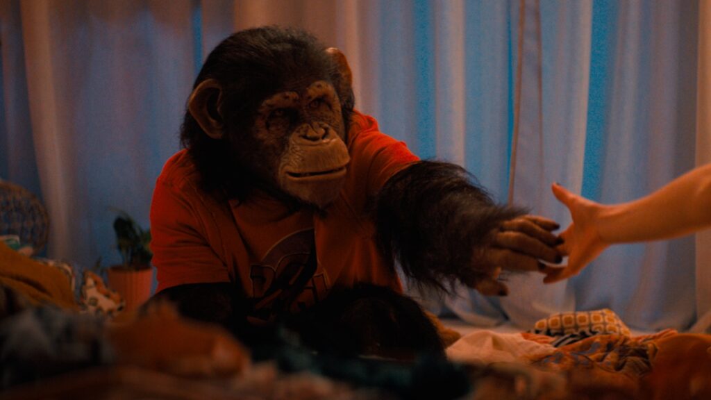 Primate's (Paramount Pictures) Monkey