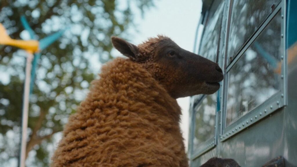 The Sheep Detective (Amazon MGM Studios) Windows