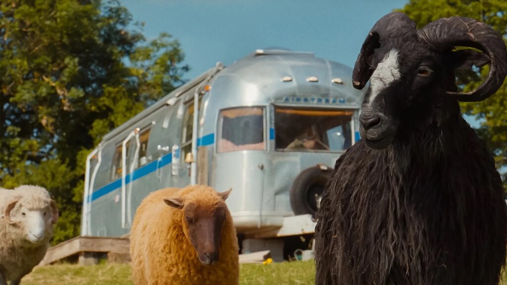 The Sheep Detectives (Amazon MGM Studios) Trailer